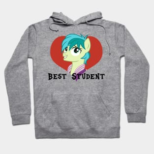 Sandbar is best student Hoodie